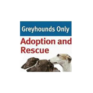 Greyhounds Only